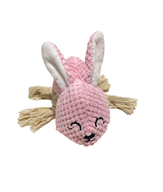 Bonnie Bunny Squeaky Pet Toy